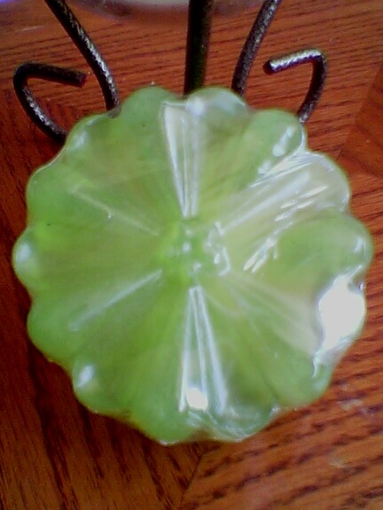 Grapefruit and Sage Soap